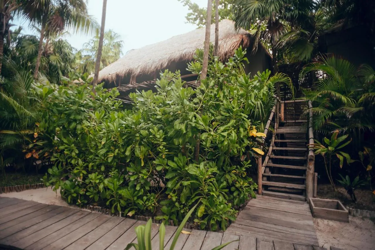 ****  Tribal Tulum Hotel Mexico