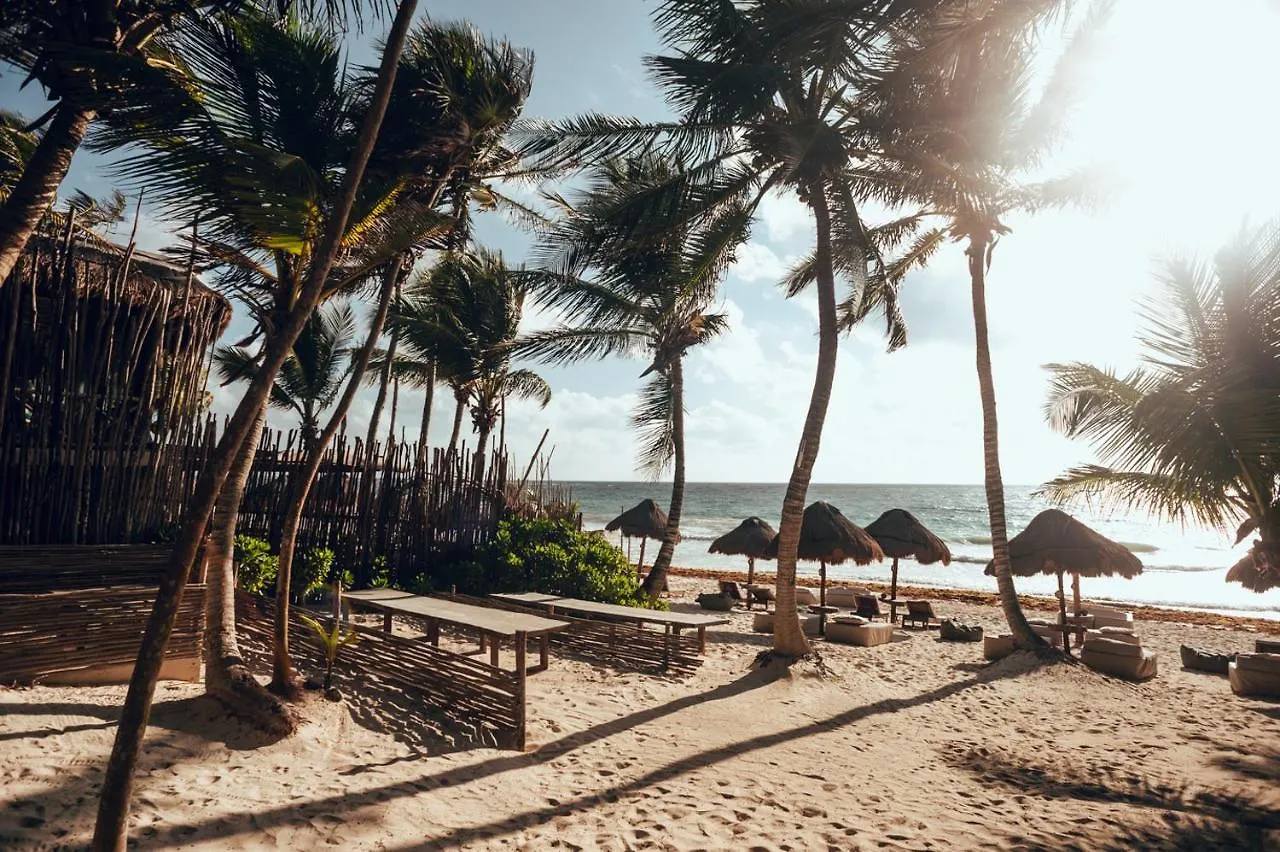 Tribal Tulum Hotel