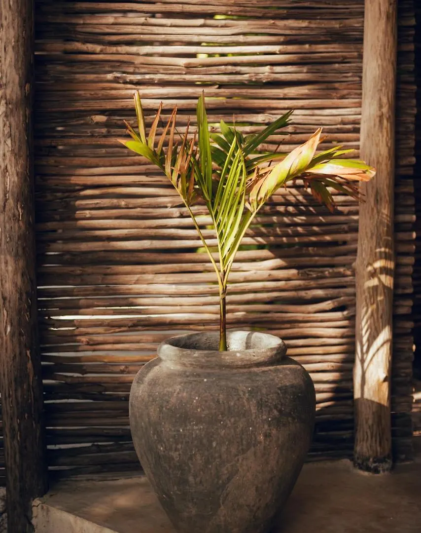 Tribal Tulum Hotel 4*,  Mexico